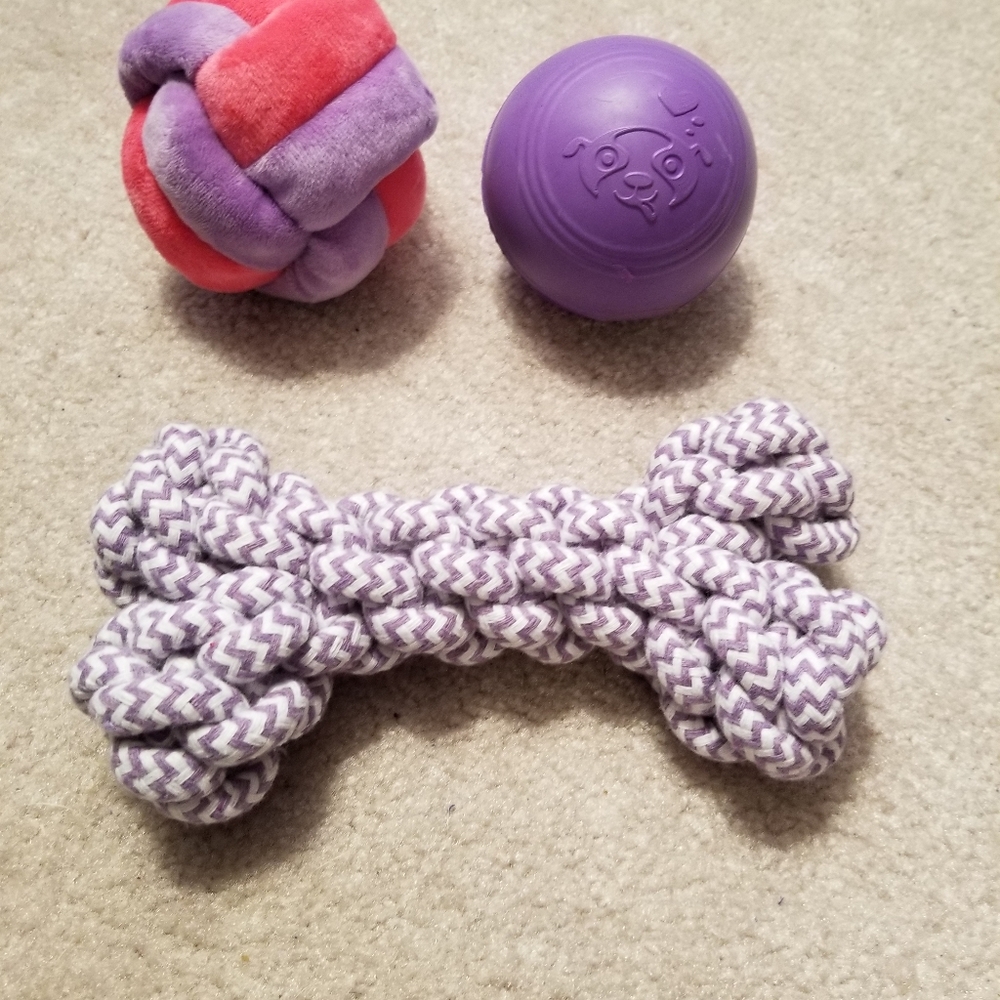 Dog Toy Bundle